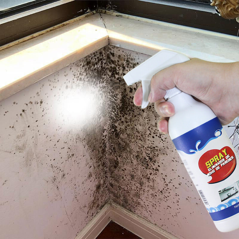 Spray Eliminador de Moho de Paredes