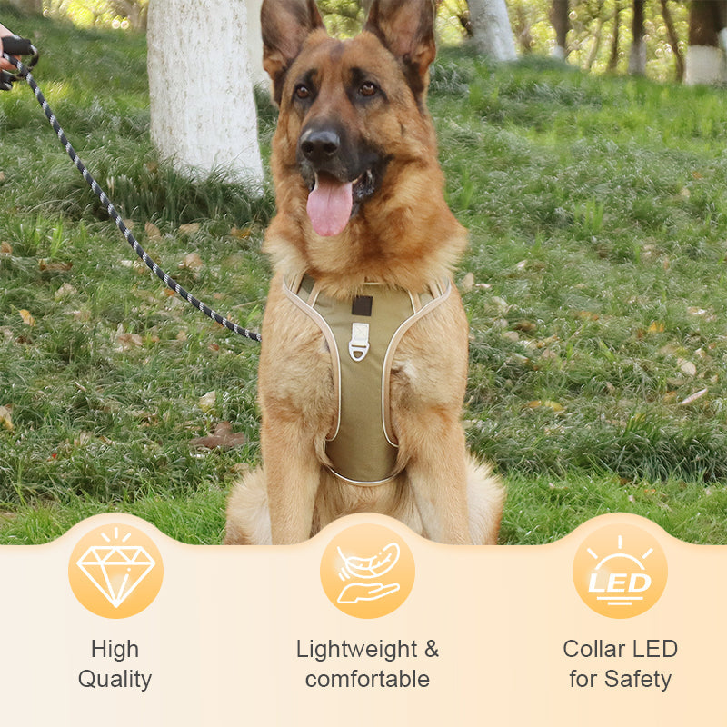 🐶 ¡OFERTA ESPECIAL 50% DE DESCUENTO POR TIEMPO LIMITADO! ⏰ Arnés Anti-Tirón para Perros con Correa y Collar LED – Control Efectivo, Visibilidad Nocturna, Ajuste Cómodo y Uso Versátil ✨