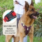 🐶 ¡OFERTA ESPECIAL 50% DE DESCUENTO POR TIEMPO LIMITADO! ⏰ Arnés Anti-Tirón para Perros con Correa y Collar LED – Control Efectivo, Visibilidad Nocturna, Ajuste Cómodo y Uso Versátil ✨