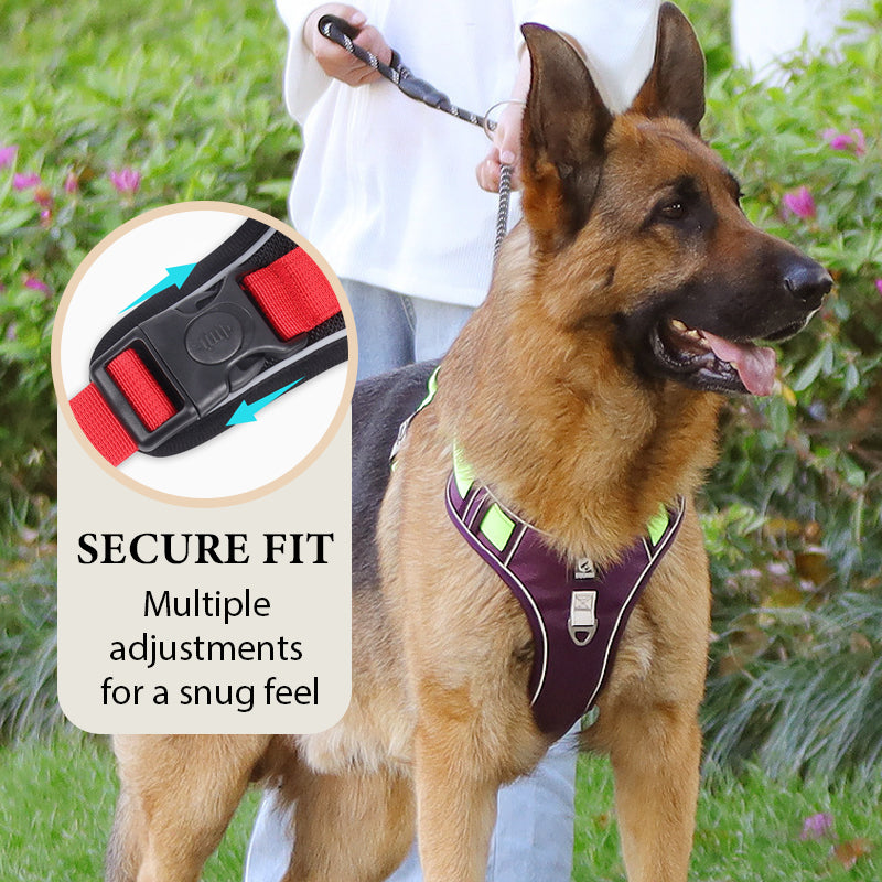🐶 ¡OFERTA ESPECIAL 50% DE DESCUENTO POR TIEMPO LIMITADO! ⏰ Arnés Anti-Tirón para Perros con Correa y Collar LED – Control Efectivo, Visibilidad Nocturna, Ajuste Cómodo y Uso Versátil ✨