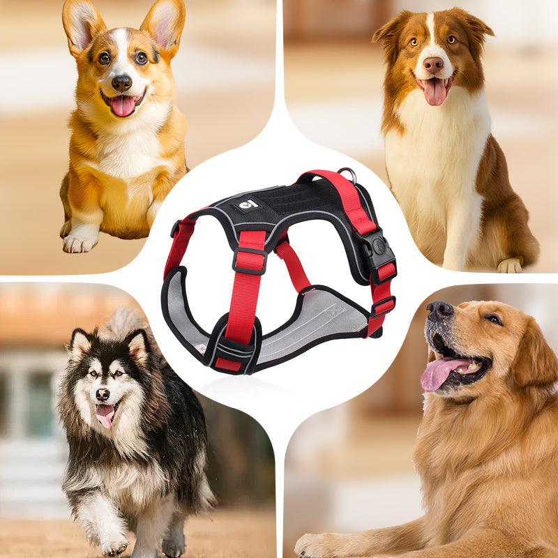🐶 ¡OFERTA ESPECIAL 50% DE DESCUENTO POR TIEMPO LIMITADO! ⏰ Arnés Anti-Tirón para Perros con Correa y Collar LED – Control Efectivo, Visibilidad Nocturna, Ajuste Cómodo y Uso Versátil ✨