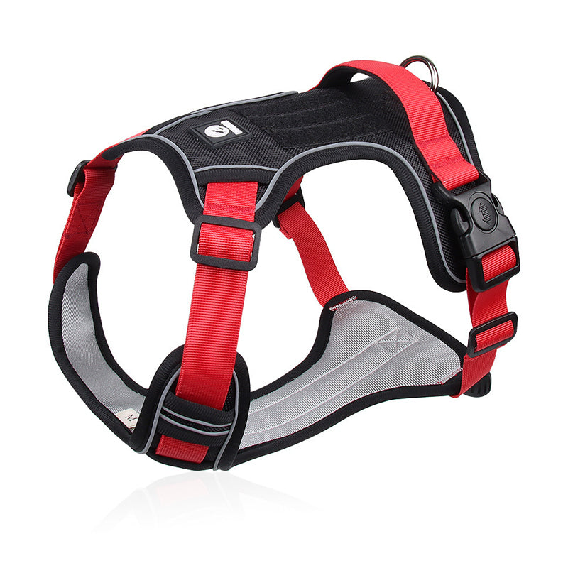 🐶 ¡OFERTA ESPECIAL 50% DE DESCUENTO POR TIEMPO LIMITADO! ⏰ Arnés Anti-Tirón para Perros con Correa y Collar LED – Control Efectivo, Visibilidad Nocturna, Ajuste Cómodo y Uso Versátil ✨