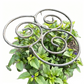 ⏰🔥 ¡50% DE DESCUENTO POR TIEMPO LIMITADO! 🌿 Soporte Resistente para Plantas y Flores – Mantén tus Plantas Firmes y Hermosas Todo el Año ✨💚