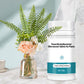 Potentes Tabletas Efervescentes Antibacterianas para Flores