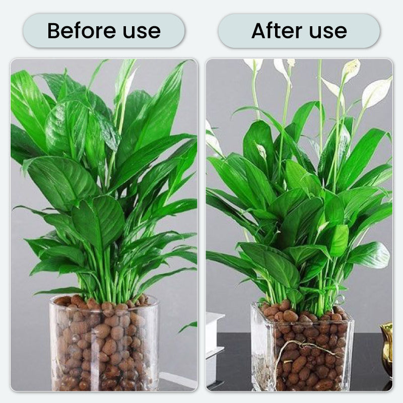 Potentes Tabletas Efervescentes Antibacterianas para Flores
