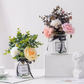 Potentes Tabletas Efervescentes Antibacterianas para Flores
