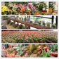 Potentes Tabletas Efervescentes Antibacterianas para Flores