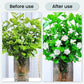 Potentes Tabletas Efervescentes Antibacterianas para Flores