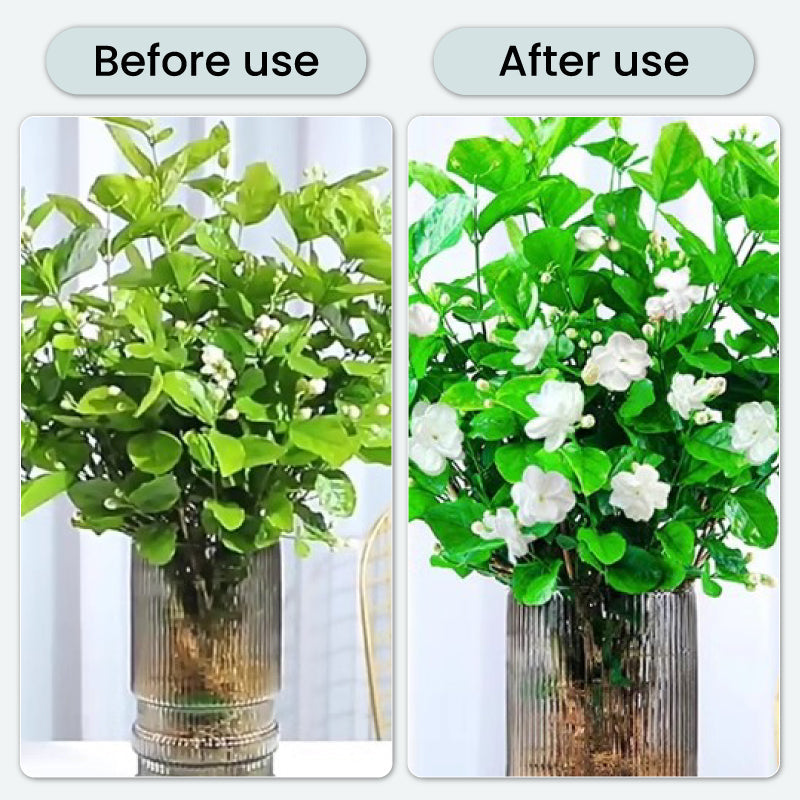 Potentes Tabletas Efervescentes Antibacterianas para Flores