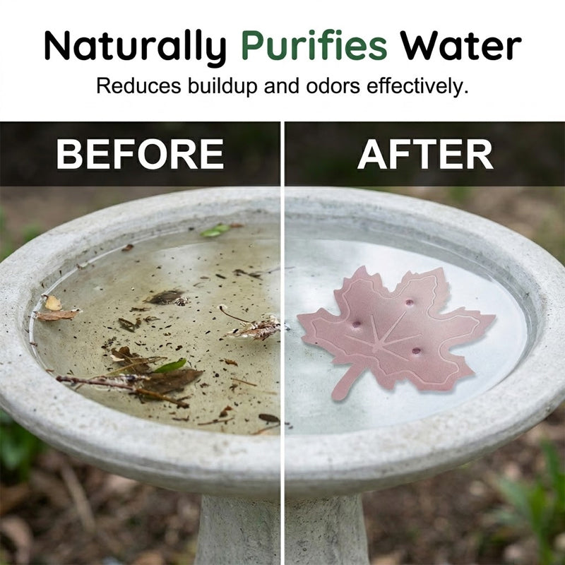Purificador universal para bebederos de pájaros