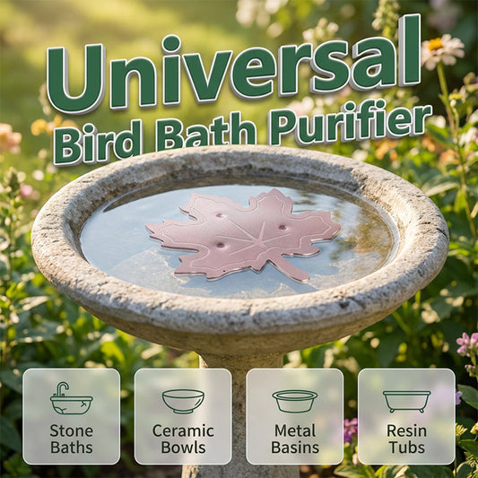 Purificador universal para bebederos de pájaros