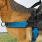 Arnés táctico resistente para perro con asa