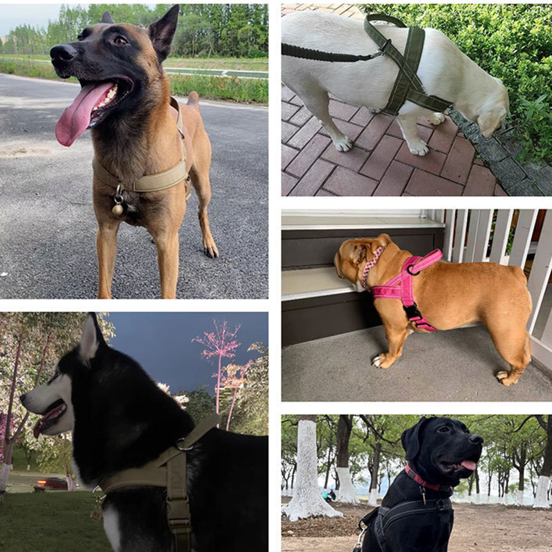 Arnés táctico resistente para perro con asa