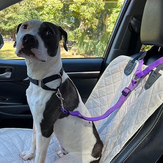 Cinturón de seguridad para coche 2 en 1 para perros y correa de paseo