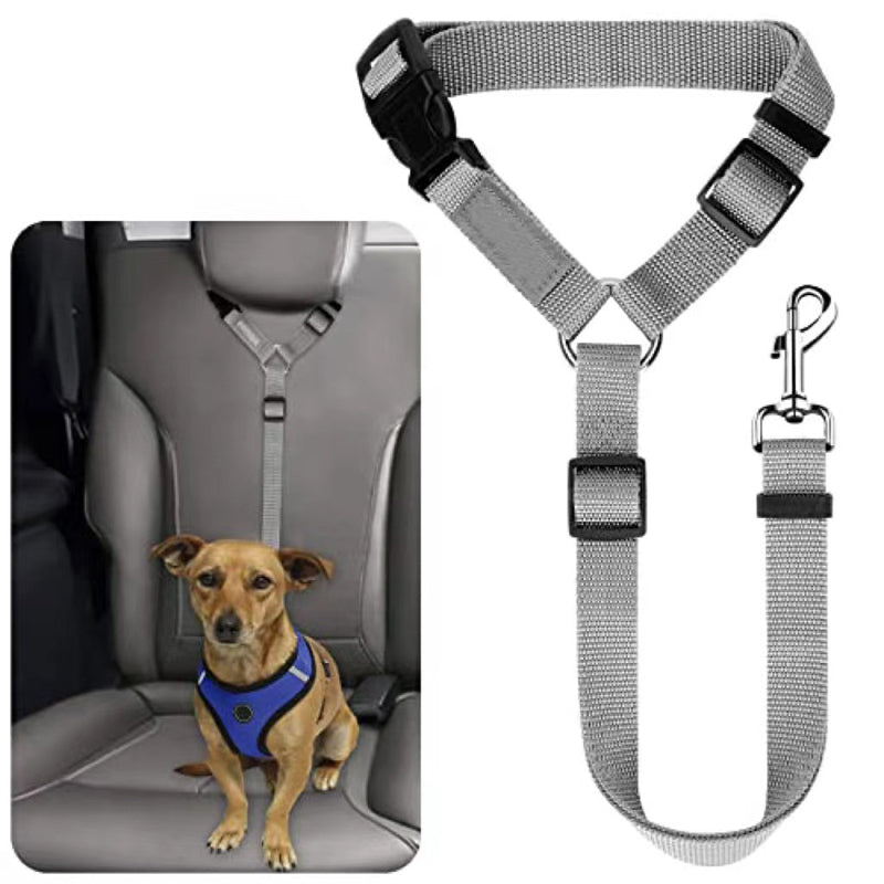 Cinturón de seguridad para coche 2 en 1 para perros y correa de paseo