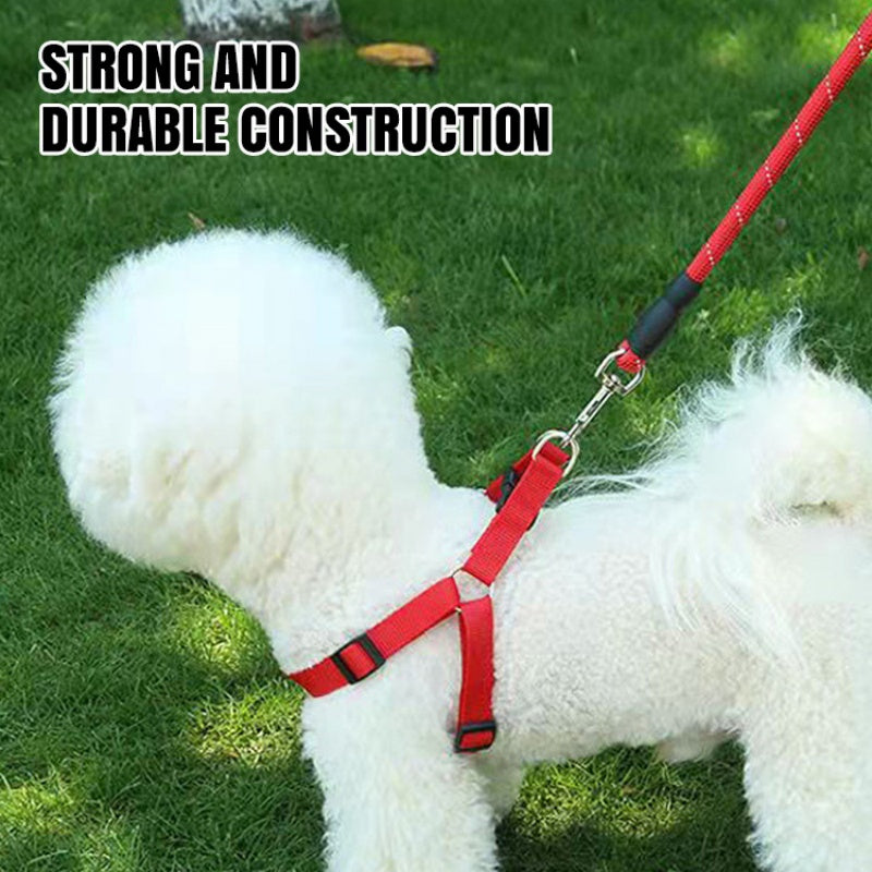 Correa para Perro Resistente con Mango Cómodo y Acolchado