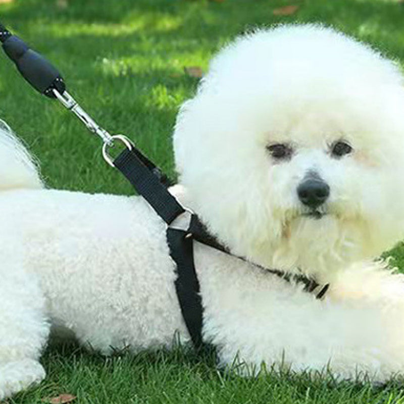 Correa para Perro Resistente con Mango Cómodo y Acolchado