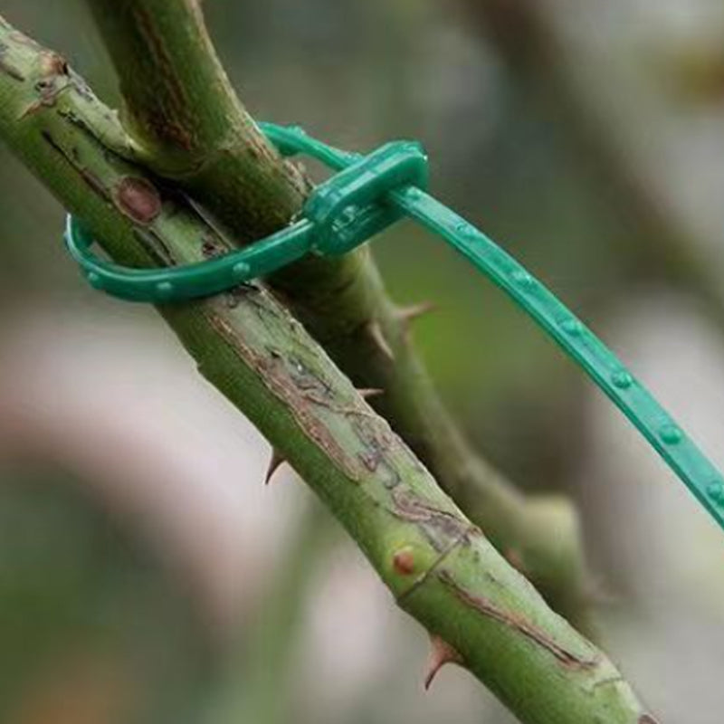 Cinchos Ajustables para Plantas | Amarres Flexibles Multiusos para Jardín
