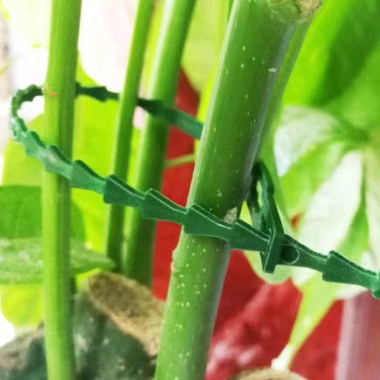 Cinchos Ajustables para Plantas | Amarres Flexibles Multiusos para Jardín
