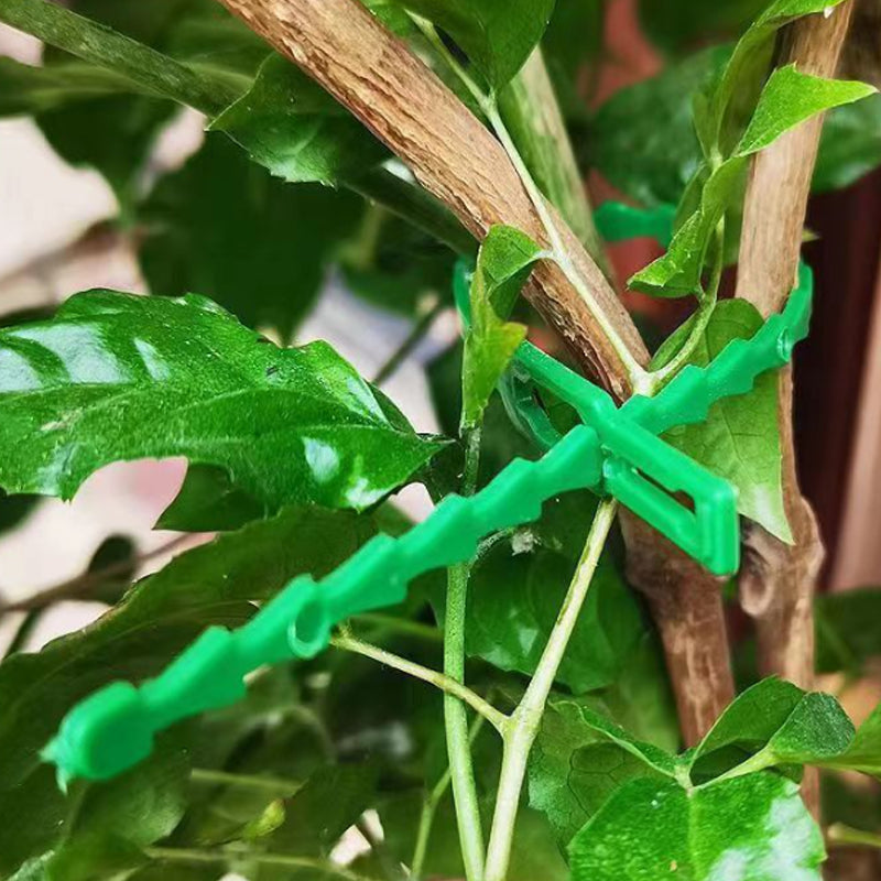 Cinchos Ajustables para Plantas | Amarres Flexibles Multiusos para Jardín