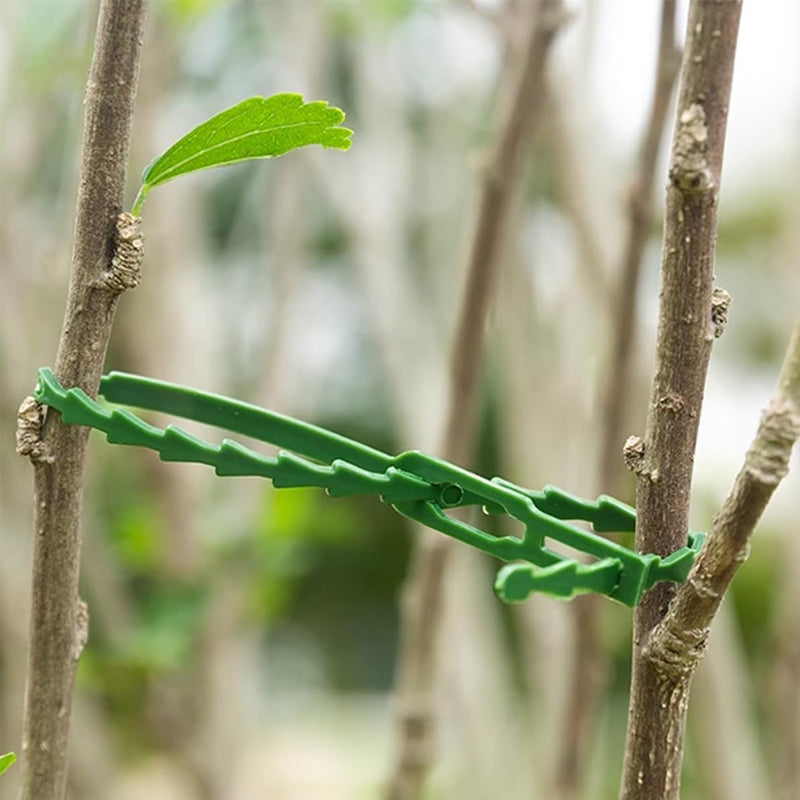 Cinchos Ajustables para Plantas | Amarres Flexibles Multiusos para Jardín