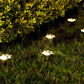 Luces Solares para Jardín en Forma de Huella de Pata