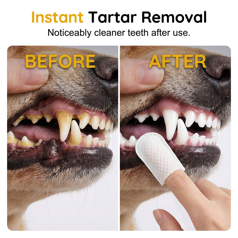 Toallitas de Dedo Multiusos para el Cuidado Dental de Mascotas (50 piezas)