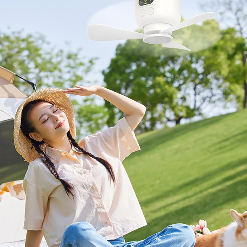 Ventilador de techo recargable con luz LED