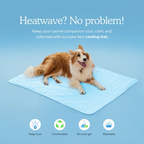 Tapete Refrescante para Perro - 4 Veces Más Frío para el Verano