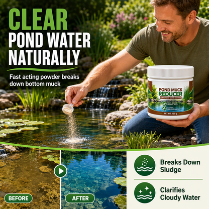 💧 Polvere Chiarificante per Laghetti 100 g